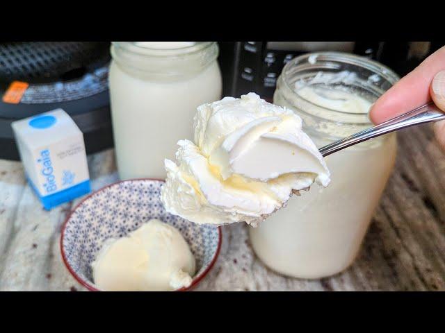 Homemade L. Reuteri **MAGIC** Yogurt #InstantPot #Recipe #SIBO