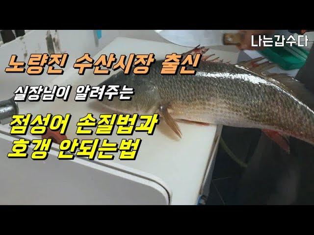 노량진 수산시장 출신_점성어 손질법과 호갱 안되는법까지!