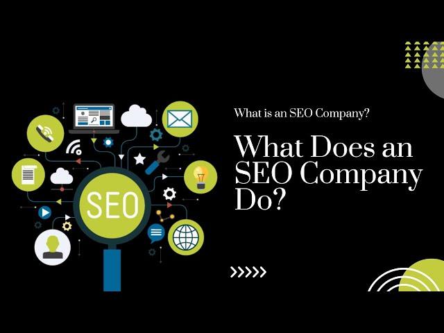 What is an SEO Company? What Does an SEO Company Do? - Brainmine Web Solutions