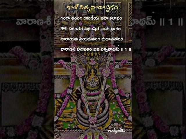 కాశీ విశ్వనాథాష్టకం #kasiviswanath #lordshivan #lyricalstatus #shiva