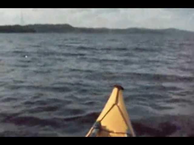 OutdoorsNB Inc Kayaking 2011.wmv