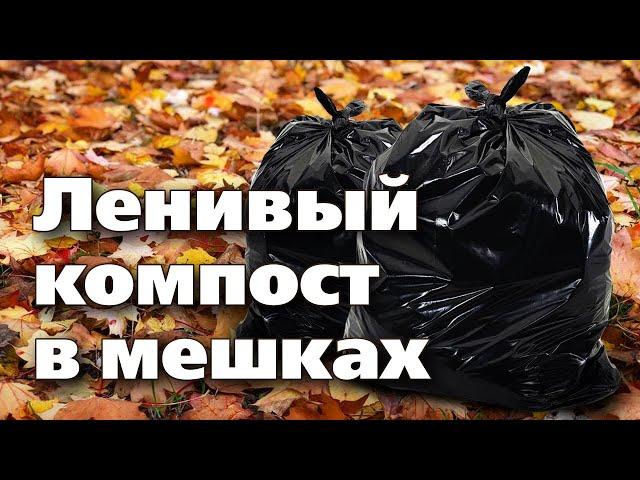 ТАКОЕ ЦЕННОЕ УДОБРЕНИЕ МОЖНО ПОДГОТОВИТЬ БУКВАЛЬНО ЗА 5 МИНУТ!