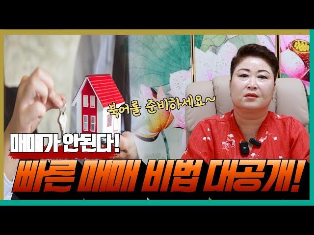 매매 안 돼요! 걱정하지 마세요! 최고의 비방법 공개! '천안점집 용군TV 천상선녀'