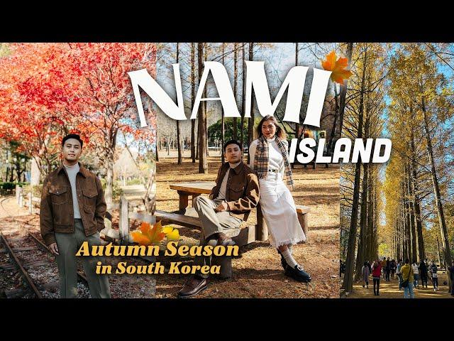 AUTUMN in NAMI ISLAND - Best season to visit 