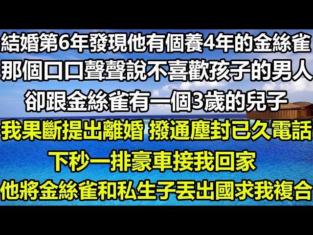 結婚第6年發現他有個養4年的金絲雀，那個口口聲聲說不喜歡孩子的男人，卻跟金絲雀有一個3歲的兒子，我果斷提出離婚 撥通塵封已久電話，下秒一排豪車接我回家，他將金絲雀和私生子丟出國求我複合#狸貓說故事