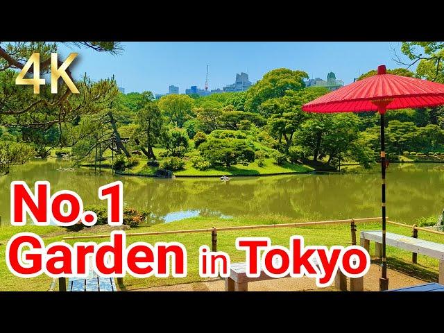 [Tokyo No1 Japanese Gardens] The Special Place of scenic beauty  A Japanese garden recognized. 2022