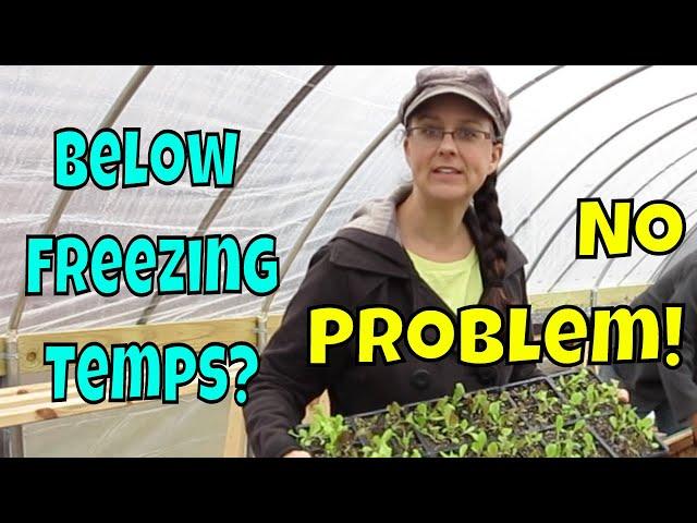 Unheated Greenhouse Troubles.  Our Solution!