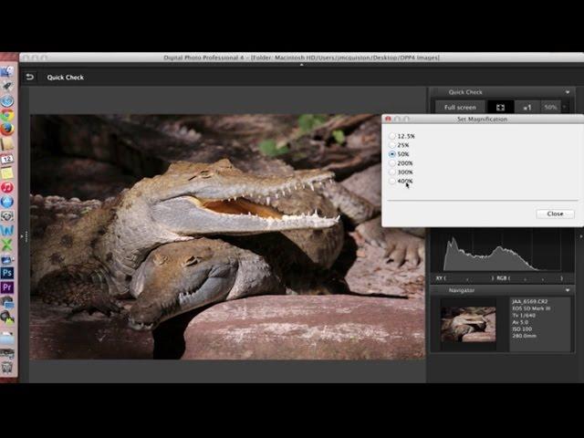 Canon Digital Photo Professional (DPP) 4: Software Overview and Interface Tour