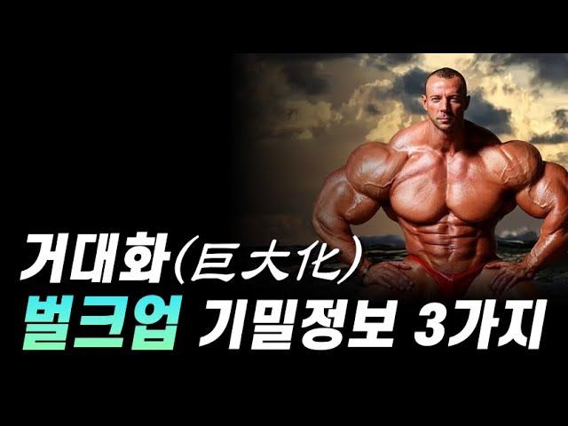 벌크업을 위해서 꼭 알아야 할 3가지 (대부분 놓칩니다)