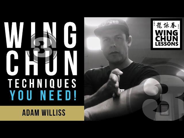 Wing Chun for Beginners: 3 Techniques You Need to Know!