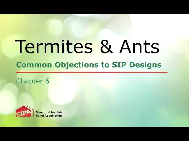 Episode 6: Common Objections to SIP Designs