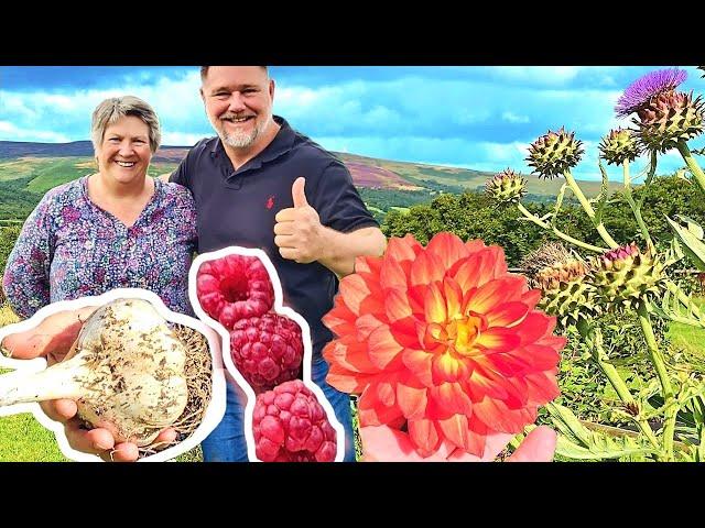 4 Acre UK Food Garden TOUR + TIPS: A Self-Sufficient INSPIRATION!