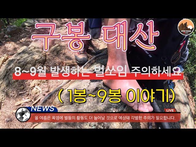 강원도 영월 구봉대산  1봉-9봉  등산/법흥 주차장 코스