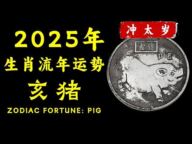 2025属猪人的逐月运势解码：破解冲太岁困境，月月都有好运相伴的必备指南！详解生肖猪每月运势变化，提供财富、事业、感情与健康提升策略。