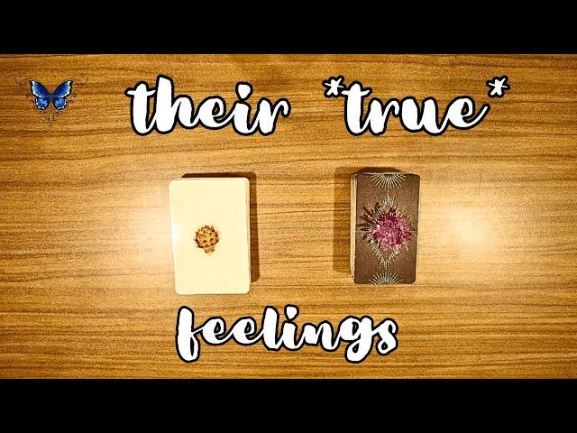 THEIR *TRUE*  FEELINGS FOR YOU  Timeless Tarot Reading 