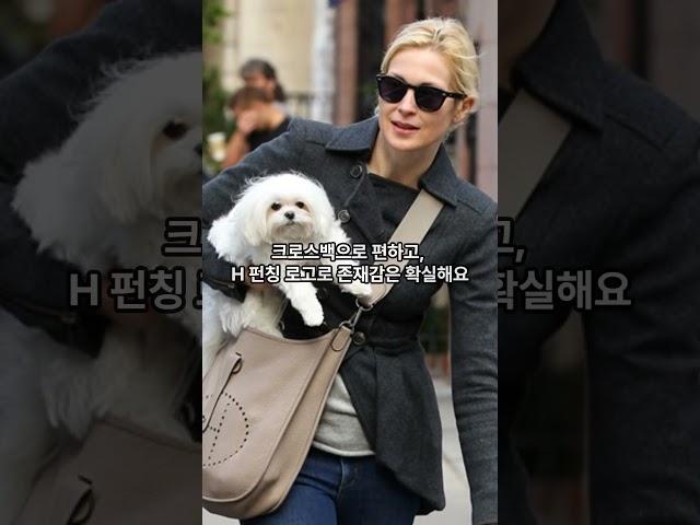 에르메스 입문백 4가지(feat. 할미템 가방)