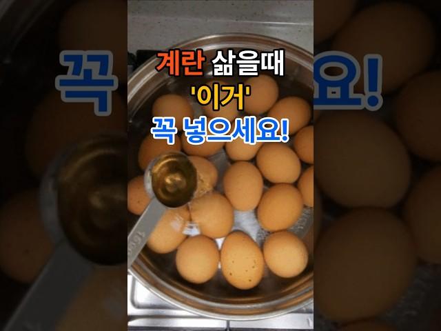 계란 삶을때 이거 꼭 넣으세요. #건강  #건강정보  #음식  #계란