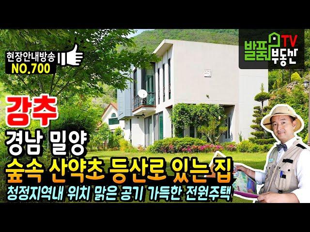 (강추) 푸른 숲속 등산로와 산약초가 많은 집!! 경남 밀양 전원주택 매매 청정지역 탁트인 전망과 인근 휴양지가 많아 주말하우스 세컨하우스로 추천 밀양부동산 - 발품부동산TV