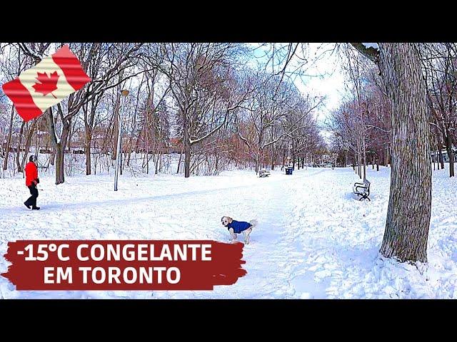 -15°C - DIA SUPER CONGELANTE EM TORONTO - Walk | Clima - Viajar para o Canadá