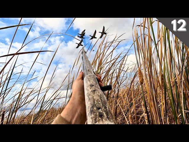 Hunting Stale Ducks On Public Land (Leroy's Best Hunt Yet?)