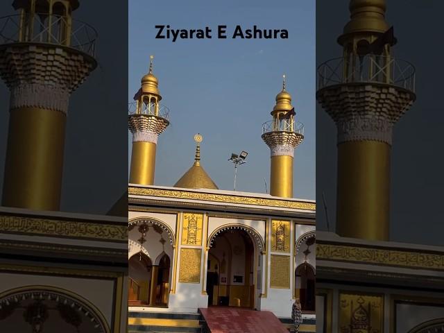 Ziyarat e Ashura Karbala Talkatora Lucknow Azadari Lucknow Muharram WhatsApp status Ziyarat e Ashura