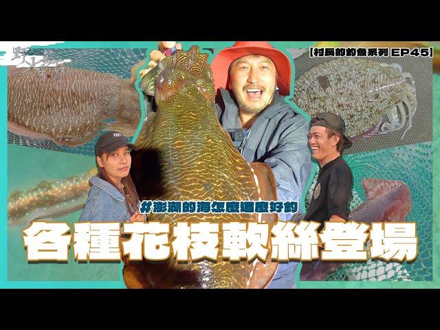 真的有耶！澎湖怎麼這麼多軟絲！【村長的釣魚系列 EP45】 #謝洸俠@Guang1111