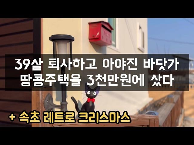 바닷가 땅콩주택 귀촌 ️ | 연말 | 라면 무제한 가성비 조개구이 | 뉴욕제과 백년가게 | 세렝게티 커피 | 하와이 조개 [강원도 고성 30대 귀촌부부]