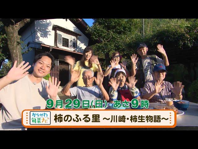 ウラナビ　9月29日放送：柿のふる里 ～川崎・柿生物語～