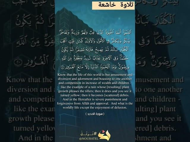 من أجمل التلاوات الخاشعه