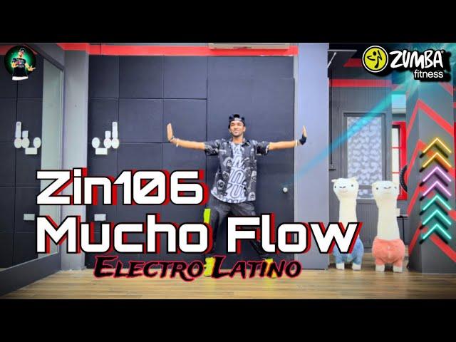 Zin106 | Mucho Flow | Zumba fitness Electro Latino | Choreography Brother twins