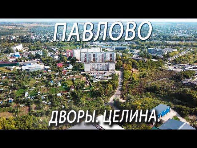 ПАВЛОВО. ДВОРЫ. ЦЕЛИНА