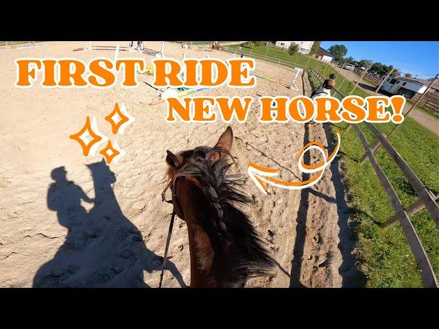 FIRST RIDE ON A NEW HORSE | GoPro Horse riding Lesson