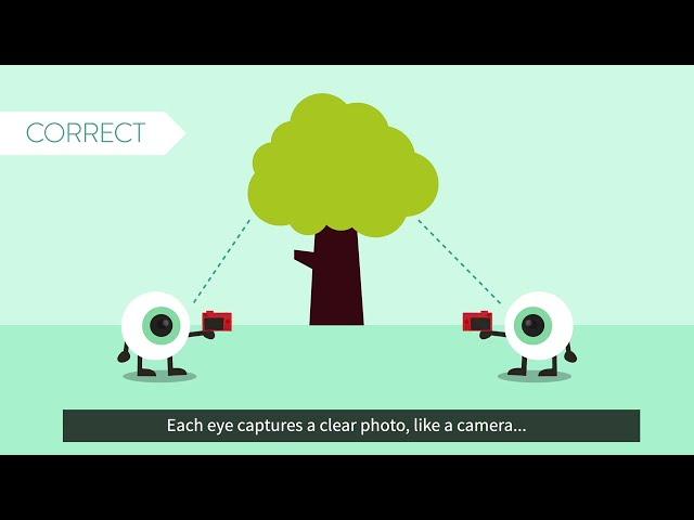 Why Your Eyes Could Be The Problem