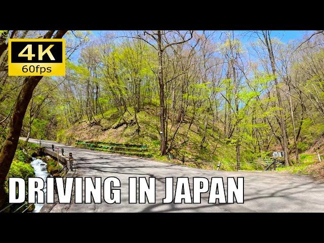 【Driving in Japan】Shiraito Highland Way : Karuizawa - Minenochaya, Nagano [Insta 360 Ace Pro 4K60P]