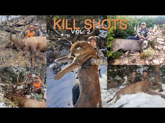 UNREAL HUNTING KILL SHOT COMPILATION!! Vol. 2