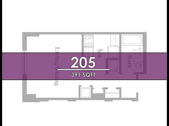 Studio 205 (391 SqFt )