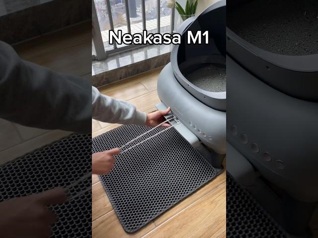best litter box self cleaning Neakasa: #Smartcatlitterbox #Raisecat #cat #catlitter #pet #neakasa