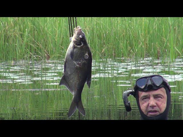 Как определить прозрачность воды! Подводная охота с Александром Кочубеем!