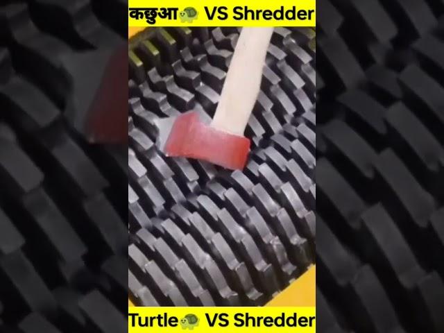 कछुआ VS Shredder Machine । #shorts #facts #turtle #shredder