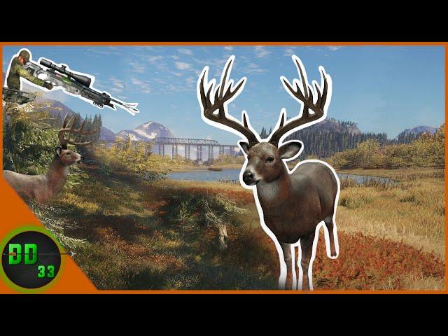 Crossbow Hunting Whitetail Deer During The RUT! Call Of The Wild