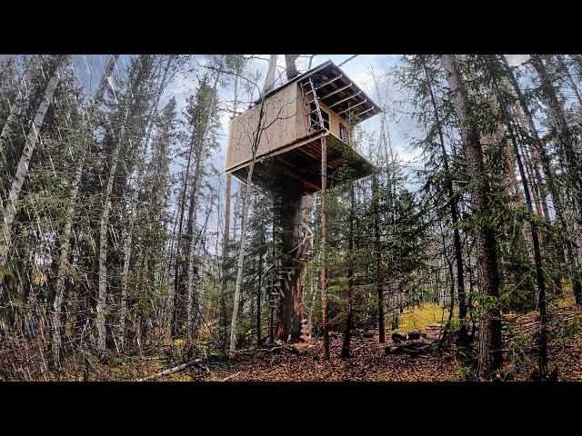 BUILT A TREE HOUSE WITH MY OWN HANDS - WALLS, ROOF, WINDOW and DOOR