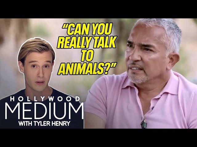 Tyler Henry Makes Rebel Wilson Cry & Connects Cesar Millan To  Daddy    Hollywood Medium   E!