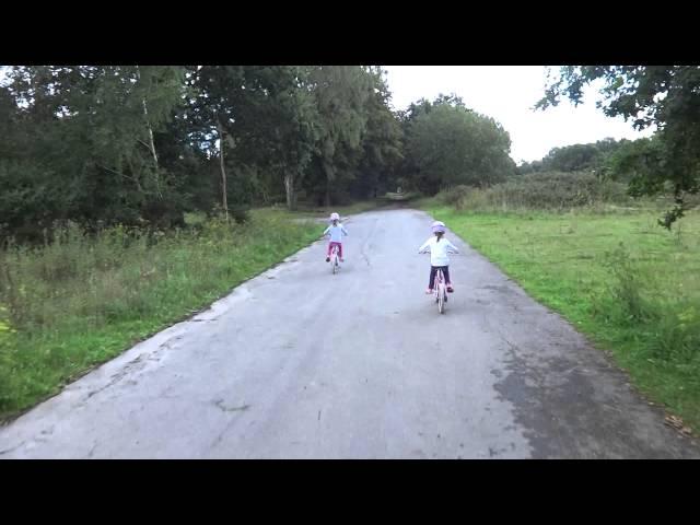 150901 Bikenic