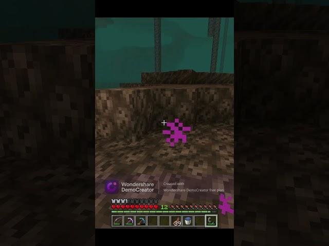 I MADE PORTAL  #minecraft #short #minecraftshort #trendingshorts