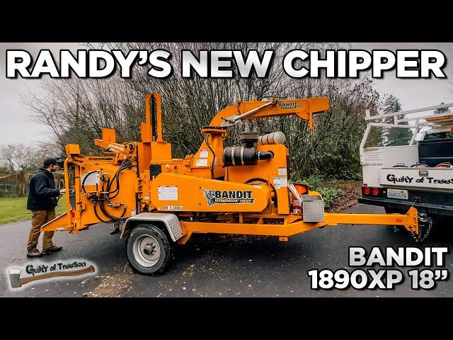 Huge Maple Removal | So Much FIREWOOD!