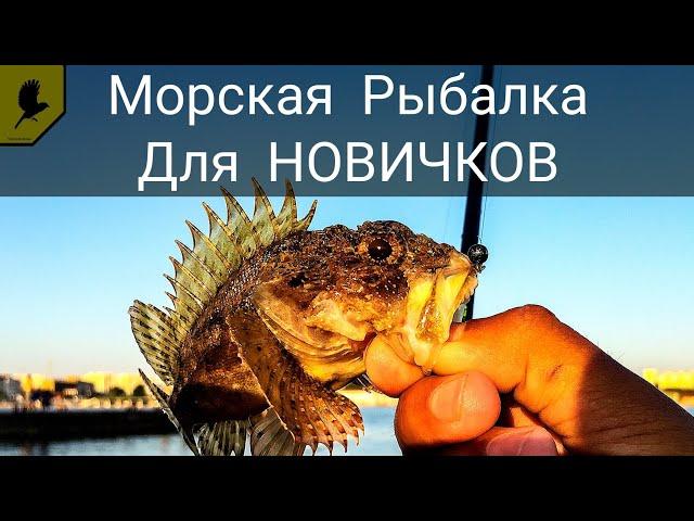 Как рыбачить на море? ДЛЯ НОВИЧКОВ!!!