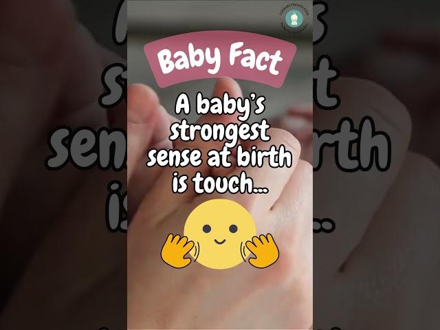 First Touch: Babies' Sensory Superpower! #EmotionalFact  #HugLife #babyfacts #holisticparenting