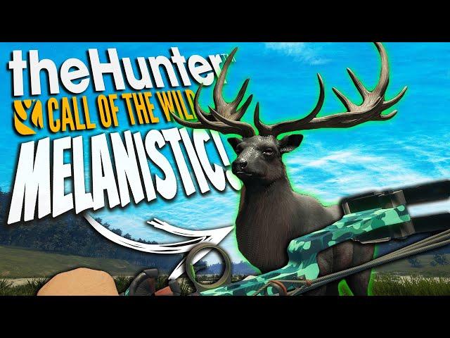 We Took A GIANT Melanistic Red Deer With The Hawkedge Bow! Call of the wild