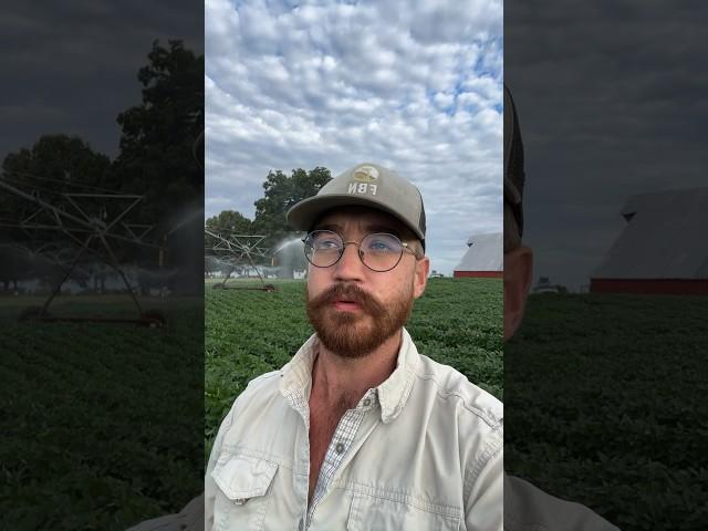 Time for a rain dance! #rain #dance #farming #soybean #covercrop #soilhealth #irrigation #water #dry