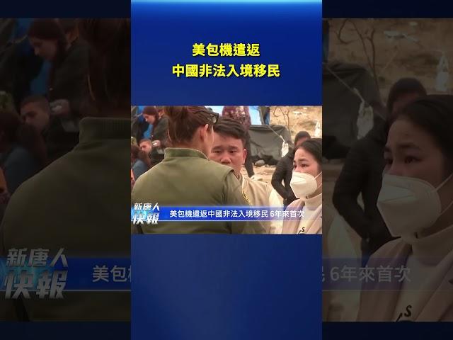 美包機遣返中國非法入境移民｜ #新唐人電視台